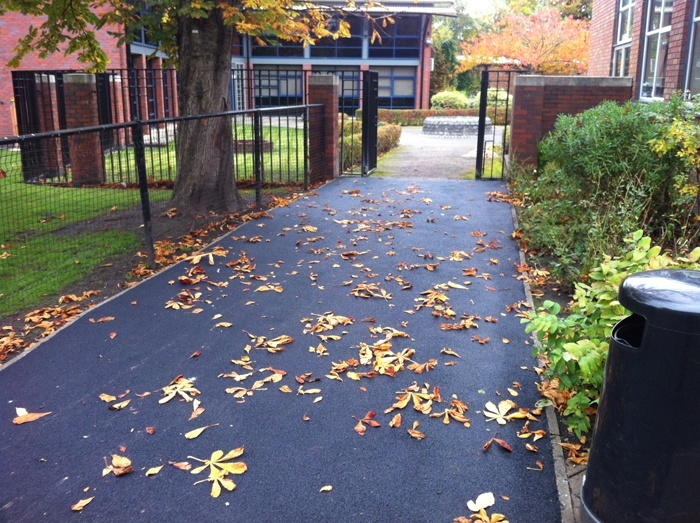 tarmac footpath with leaves on top